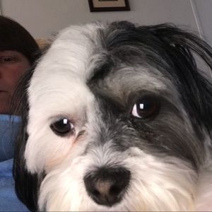 Meet your Posher, Lynn